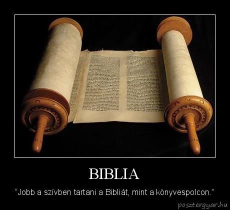 Olvasni, jól értelmezni