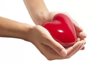 új szív
